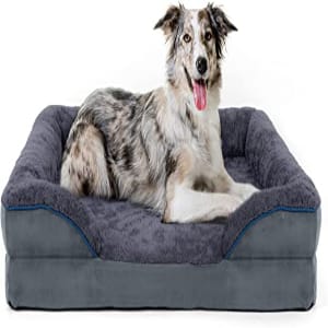 Dog Bed